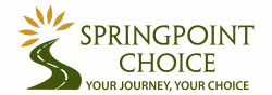 Springpoint Choice Logo